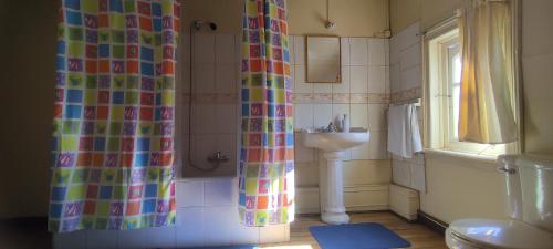 y baño con cortina de ducha y lavamanos. en La Casona del Buen dormir, en Valdivia