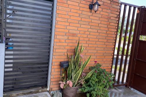 a brick wall with a gate and some plants at Casa totalmente nueva,2 cuartos 2 baños -Muy Segura in Colima