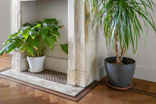 dos plantas en maceta están sentadas en un piso en Luxurious modern apartment in Antwerp - Breakfast Included, en Amberes