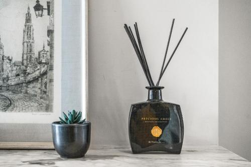 a black vase with sticks in it next to a plant at Luxurious modern apartment in Antwerp - Breakfast Included in Antwerp