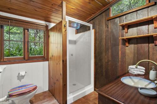 a bathroom with a shower and a toilet and a sink at Nungaroo Cottage in Bilpin