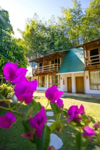 Zahrada ubytování TAGUA LODGE