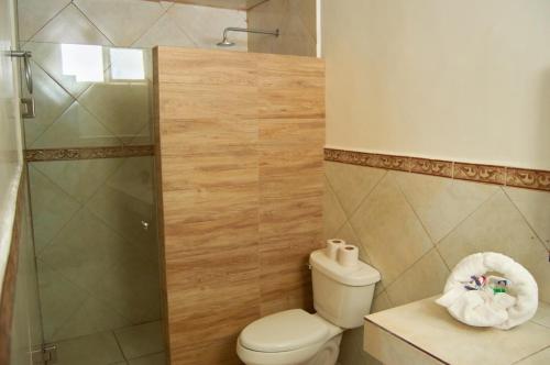 y baño con aseo y ducha. en Hotel del Alba Inn & Suites en Aguascalientes
