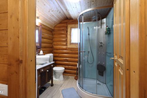 uma casa de banho com um chuveiro, um WC e um lavatório. em Holiday house with a parking space Kuzelj, Gorski kotar - 20489 em Delnice
