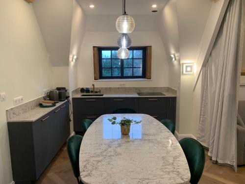 a kitchen with a table with green chairs and a counter at La Chaumière Luxury Domain with 2 Apartments Spa and Pool near Disneyland in Coupvray