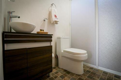 a bathroom with a white toilet and a sink at Cabaña para parejas en Zacatlán de las Manzanas 