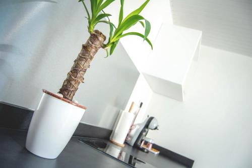 a plant in a white vase sitting on a sink at Bélya in Le Vauclin