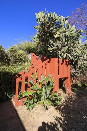 an orange object is sitting next to some plants at Huayápam Yù'ú Lodge in San Andrés Huayapan