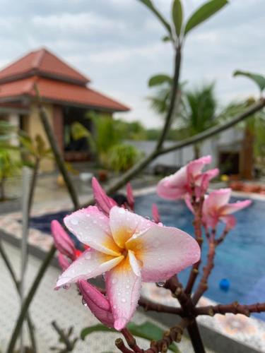 a pink flower in front of a swimming pool at Laman Zavilla Dhoma 1 in Sungai Pelik