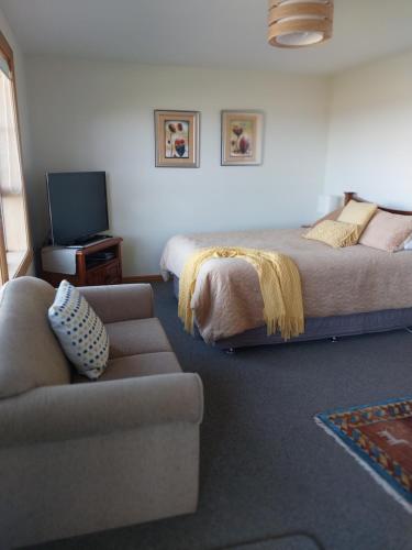 a bedroom with a bed and a couch and a tv at Rarangi Seaview On the Beach B&B in Blenheim