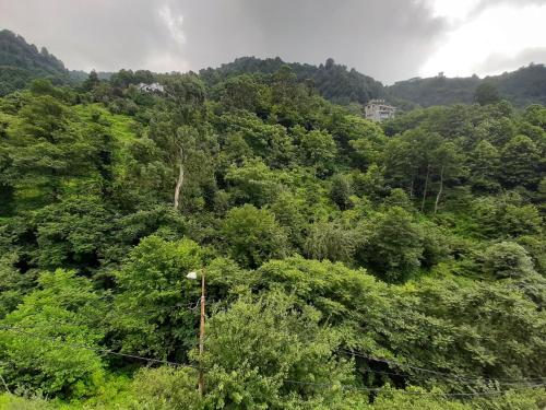 Lanskap alam di dekat hotel