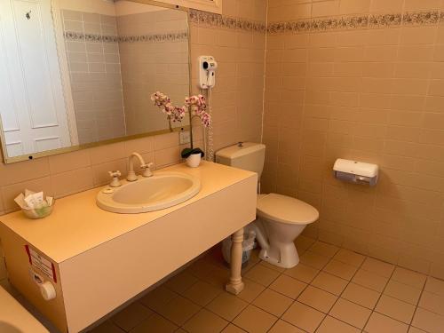 a bathroom with a sink and a toilet and a mirror at Philadelphia Motor Inn in Echuca
