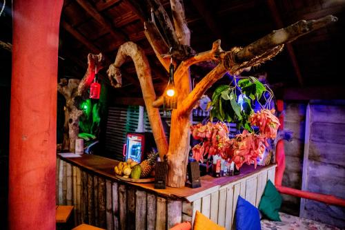 a bar with a tree and fruits on a counter at Brother's Beach Home in Galle