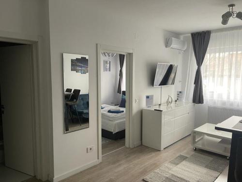 TV a/nebo společenská místnost v ubytování Phoenix Luxury Apartment