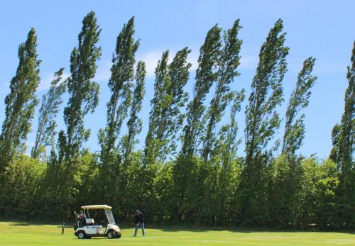 a golf cart parked in a field next to trees at Quamby Estate in Hagley