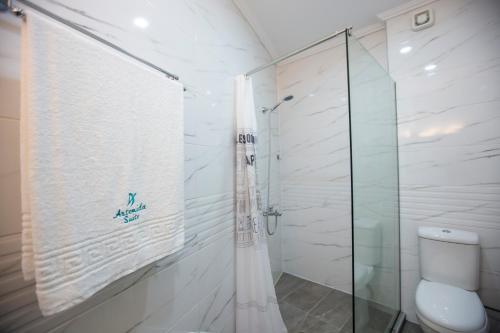 a bathroom with a glass shower and a toilet at Artemida Suites in Hanioti