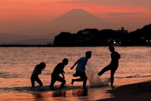アパートメントの近くで見られる自然の景観