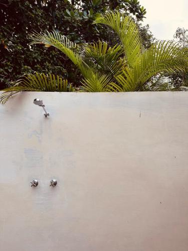two objects sitting on top of a concrete wall at Kooyu Villas in Port Vila