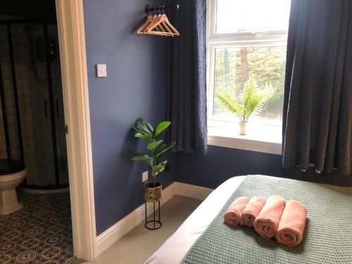 a bedroom with a bed and a window and a plant at Nyth Bach - Little Nest in Pembroke Dock