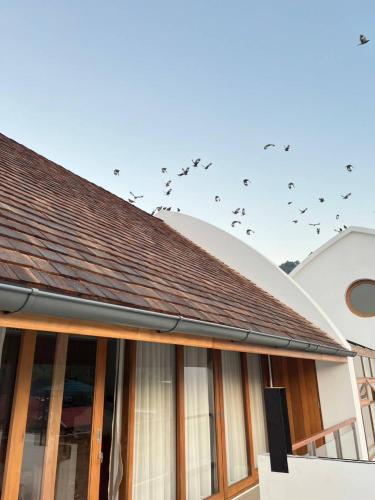 a flock of birds flying over a building at 108 Villa @ PongYang in Chiang Mai