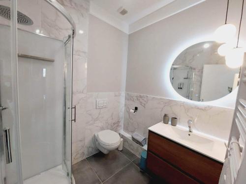 une salle de bain avec toilettes, lavabo et miroir dans l'établissement LES AMANDINES-LE COSY idéal Curistes, à Allevard