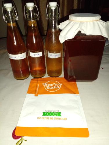 Gallery image of Sinharaja Holiday Bungalow in Tinniyawala