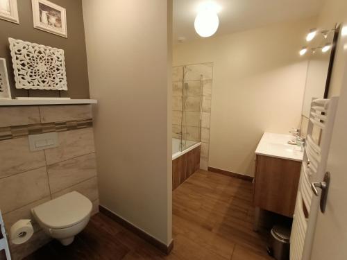 een badkamer met een toilet, een wastafel en een douche bij Le balcon des cimes in Adast