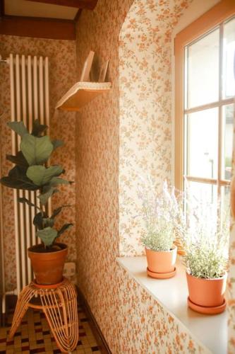 a room with three potted plants and a window at Charming Vinyard House - Lake Geneva in Mont-sur-Rolle