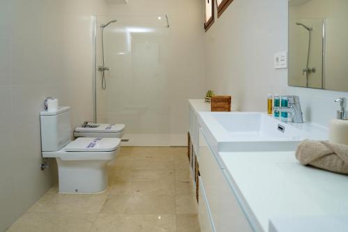 a bathroom with a toilet and a shower and a sink at TESS Villa Maria in Alhaurín de la Torre