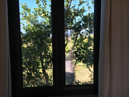 a window with a view of an orange tree at Agriturismo Crilù in Milazzo