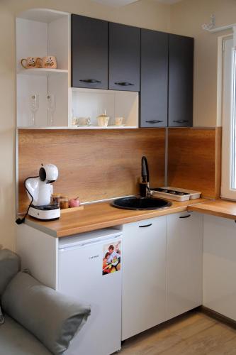 Η κουζίνα ή μικρή κουζίνα στο Apartment Colibri