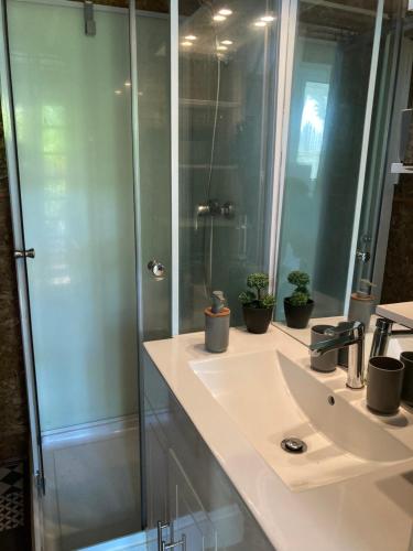 een badkamer met een wastafel en een douche met potplanten bij Eden des laves in Sainte-Rose