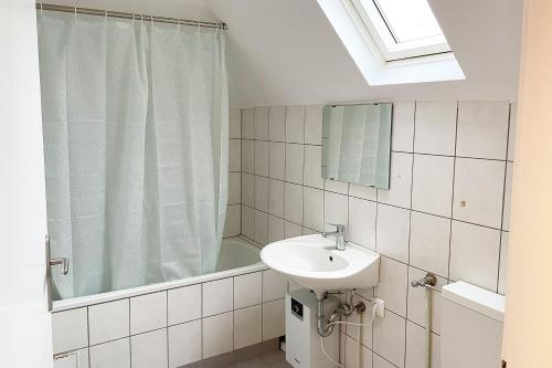 een badkamer met een wastafel en een douche bij cozy 2-room Apartment in Brühl