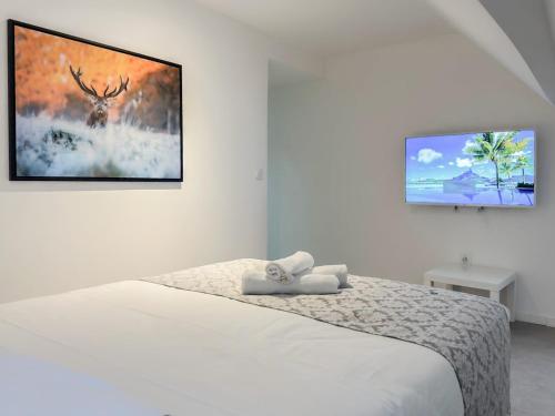 une chambre avec un lit et une télévision au mur dans l'établissement Atypique sous chateau vieille ville AC, à Annecy