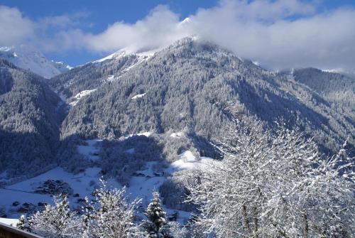 a mountain covered in snow with trees in the foreground at Appartement Carola in Sankt Gallenkirch