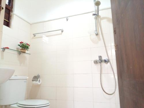 y baño con ducha y aseo. en Muduna Walawwa Resort, en Kandy
