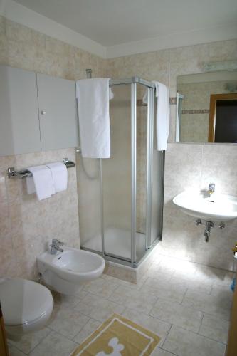 a bathroom with a shower and a toilet and a sink at Piccolo Hotel Gurschler in Maso Corto