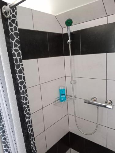 a shower with a giraffe shower curtain in a bathroom at Chalupa u dědy in Dlažkovice