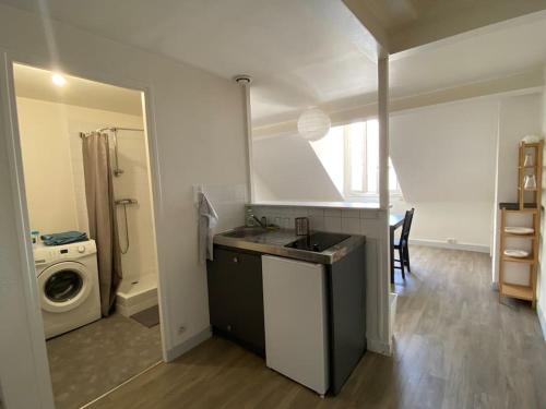 une cuisine avec un évier et une machine à laver dans l'établissement Orléans Centre Historique - Bourgogne/Cathédrale, à Orléans