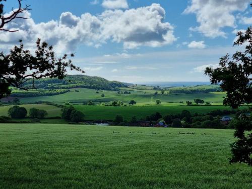 a green field with animals grazing in the grass at Deer Vue in Exeter