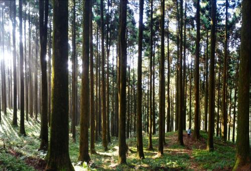 Naturlandschaft in der Nähe des Privatzimmers