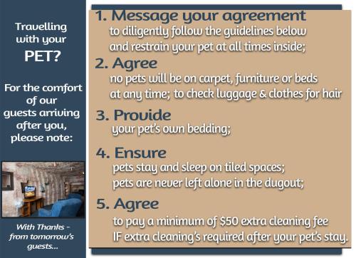 a flyer for a pet clinic with instructions on how to manage your equipment at Ali's Underground Studio in Coober Pedy
