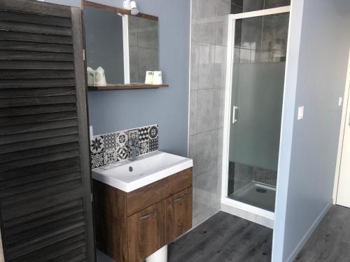 La salle de bains est pourvue d'un lavabo et d'une douche. dans l'établissement Hôtel L'Embarcadère, à La Barre-de-Monts