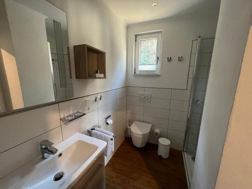 a bathroom with a sink and a toilet and a mirror at Hotel Haus Erholung in Cochem