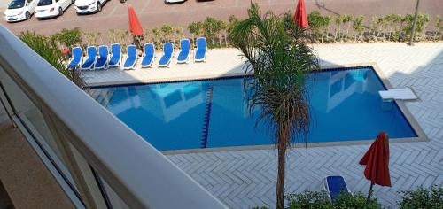 a swimming pool with lounge chairs and a palm tree at شاليه للايجار اليومى بورتو سعيد in Port Said