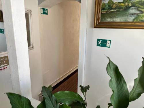 a hallway with a plant and a picture on the wall at Penzion Pomodoro in Vrbno pod Pradědem