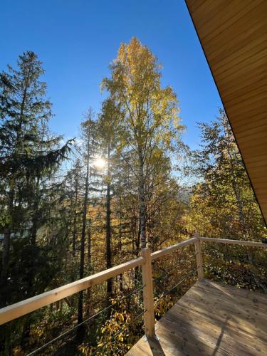 a deck with a view of the trees in the woods at Схованка in Yaremche