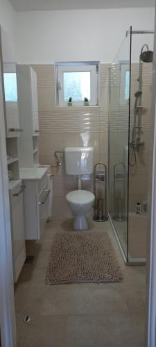 uma casa de banho com um WC e uma cabina de duche em vidro. em Zvjezdana em Kampor