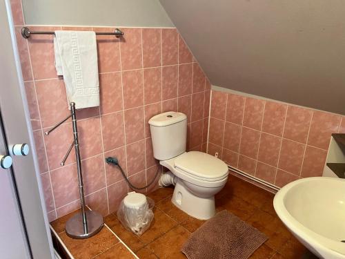 a bathroom with a toilet and a sink at Penzion Pomodoro in Vrbno pod Pradědem
