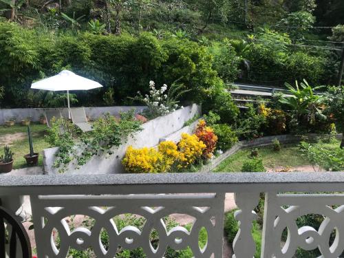 a view of a garden from a balcony with an umbrella at FOND B'OFFAY LODGE in Victoria